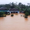 Seven working groups set up to handle flood consequences