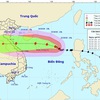 Typhoon Saudel approaches Vietnam’s Hoang Sa Archipelago