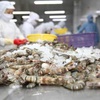 Shrimp exports see double-digit growth despite COVID-19 impact