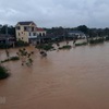 UK donates GBP500,000 to flood victims in central region