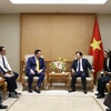 Deputy PM hosts investors interested in LNG power development in Vietnam