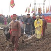 Doi Son Ploughing Festival opens in Ha Nam