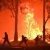 Australian scientists urge action on climate change