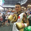 Vietnamese boxer knocks out Thai challenger to retain WBA Asia title