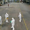 Vietnamese advised to avoid travel to coronavirus-hit areas in RoK