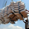 PM orders suspension of signing rice-exporting contracts