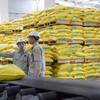 EVFTA to grow Vietnam’s fertiliser industry