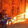Proactively preventing and fighting forest fires