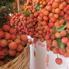 Vietnam, China hold conference to boost agricultural trade