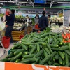 Vietnam’s CPI in April down 1.54% as fuel, non-food prices drop