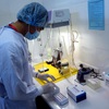 Vietnam conducts 1 million pcr tests of COVID-19