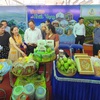 Festival seeks to boost tourism in HCMC and Mekong Delta region