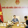 Top legislators of Vietnam, New Zealand hold online talks
