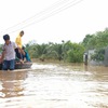 Storm Nakri weakens to tropical depression