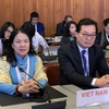 Việt Nam active at 33rd conference of Red Cross & Red Crescent