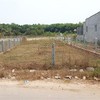 Hải Phòng to review land violations