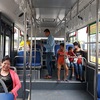 Vĩnh Phúc modernises bus system