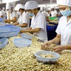 VN aims to become global agriculture powerhouse