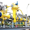 Japanese gas firm buys 21% in PV Low Pressure Gas