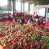 Tiền Giang sets export target of $3.4 billion in 2020
