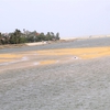 Fishermen flounder with sea gate sand deposits