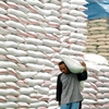Senegal a potential market for Vietnamese rice