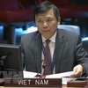 Vietnam calls for efforts in tackling illicit trade in small arms, light weapons