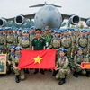 Vietnam completes mission as UNSC's Committee 2206 Chair with high responsibility