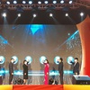Hanoi launches midnight promotional programme
