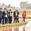 PM approves over VND89 billion to support five disaster-hit localities