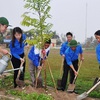 Promoting the implementation of tree-planting festival