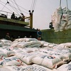 Bangladesh approves proposal to import rice from Vietnam