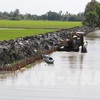 Measures to prevent saltwater intrusion in Mekong river delta
