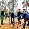 Tree planting campaign for a green Vietnam responded to nationwide
