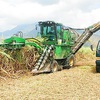 New opportunities for sugar industry