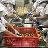 Japan licenses two more fresh lychee processing facilities in Hai Duong