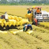First national dialogue on Vietnam food systems held