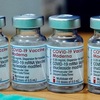 Vietnam calls for sharing of information on COVID-19 vaccines