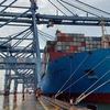 Container cargo via seaports up 18%