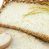 Over 10,000 Australian consumers to taste Vietnamese rice