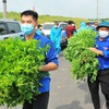Hanoi’s youths join hands to fight pandemic