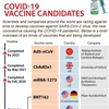 COVID-19 vaccine candidates