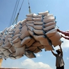 MoIT proposes to resume rice exports