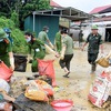 Hanoi supports Nghe An with 3 billion VND to overcome consequences of rain and floods