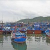 Khanh Hoa asked to hasten moves to address IUU fishing