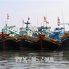 Quang Tri takes concerted measures to prevent IUU fishing