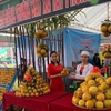 Hoa Binh promotes image of Cao Phong oranges