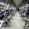 EVFTA offering big benefits to Vietnam’s exports
