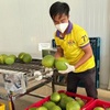 Ben Tre Province to ship first batch of green-skinned pomelos to US