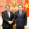 Vietnam wants to further develop strategic partnership with Indonesia: NA leader
